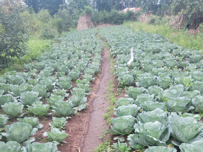 Support for disadvantaged women in Kenya