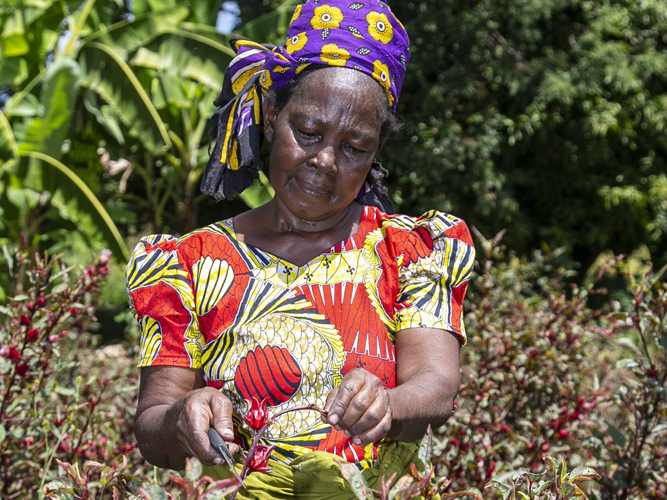 Empowering rural women in Kenya
